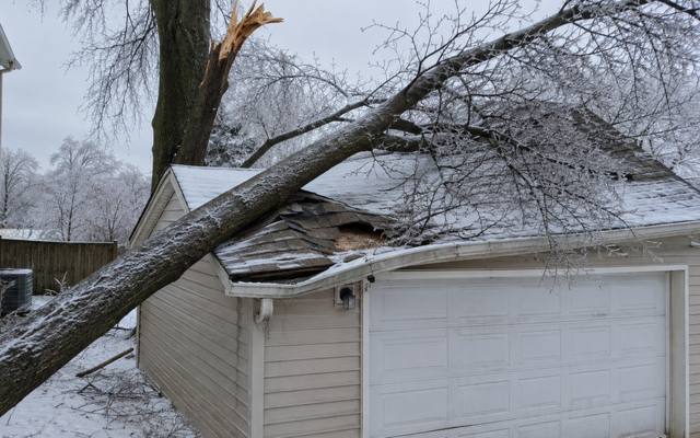 Storm-thrown tree resting across the roof of a detached garage